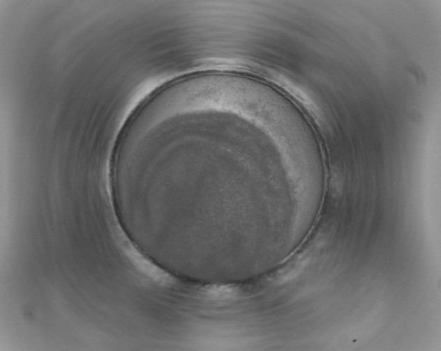 X0000111021283200907022151