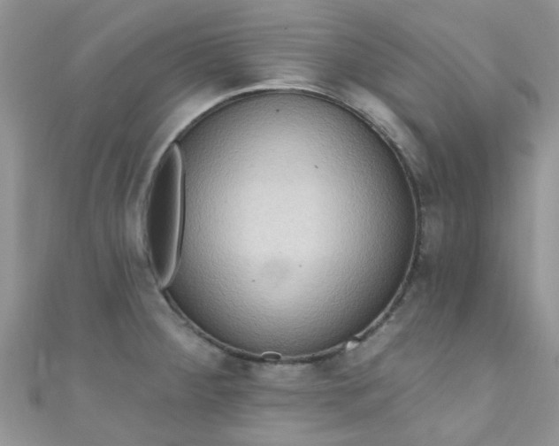X0000111021284200907022151