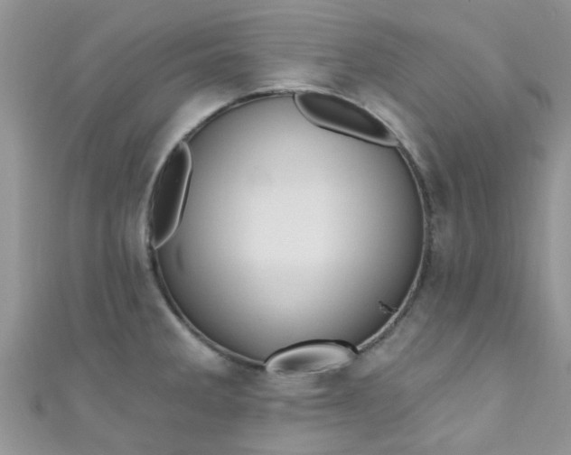 X0000111021285200907022151