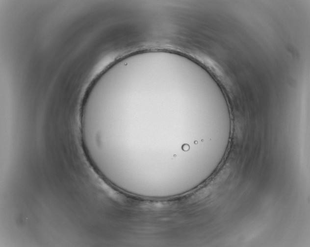 X0000111021286200907022151