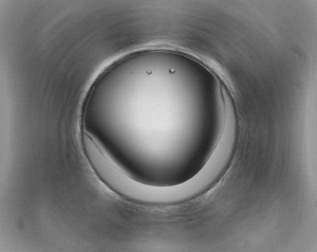 X0000111021288200907022151