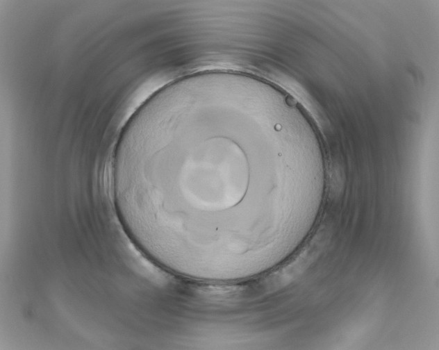 X0000111021290200907022151