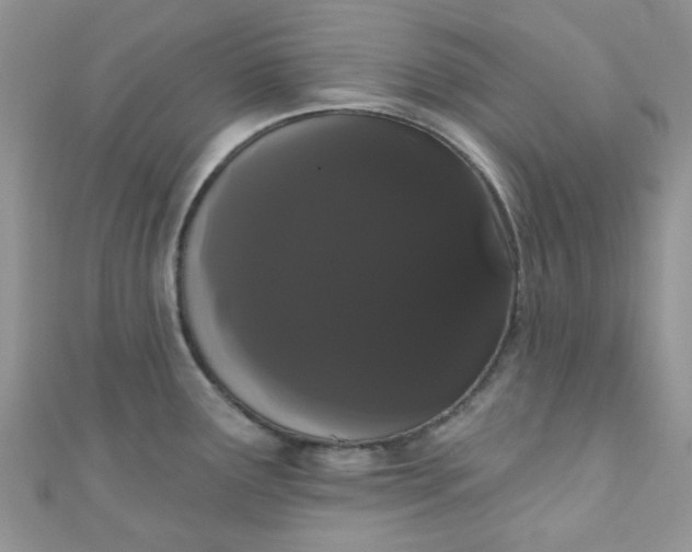 X0000111021291200907022151