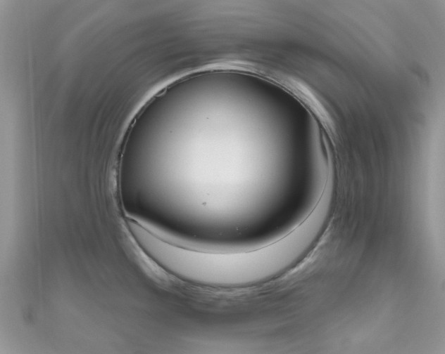 X0000111021292200907022151