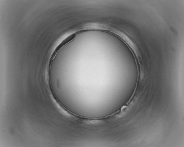 X0000111021293200907022151