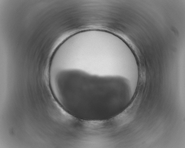 X0000111021294200907022151