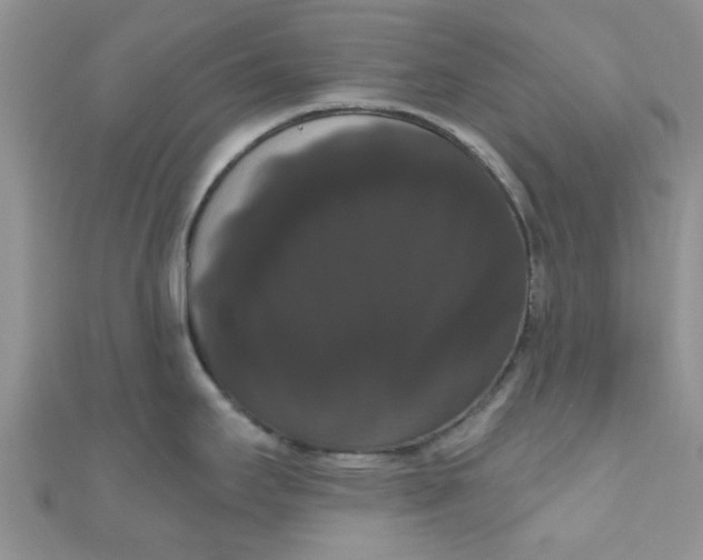 X0000111021295200907022150