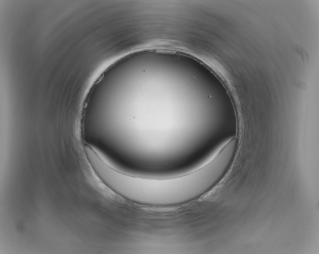 X0000111021296200907022150