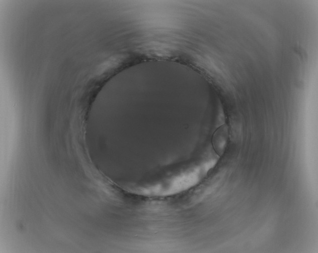 X0000111021297200907022150