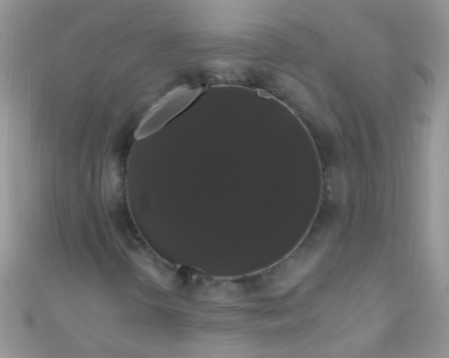 X0000111021298200907022150