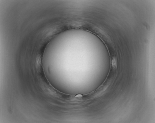 X0000111021299200907022150