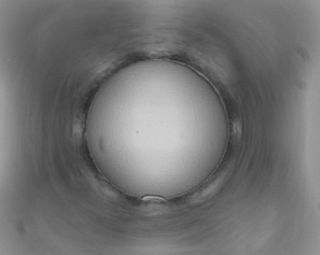 X0000111021300200907022150