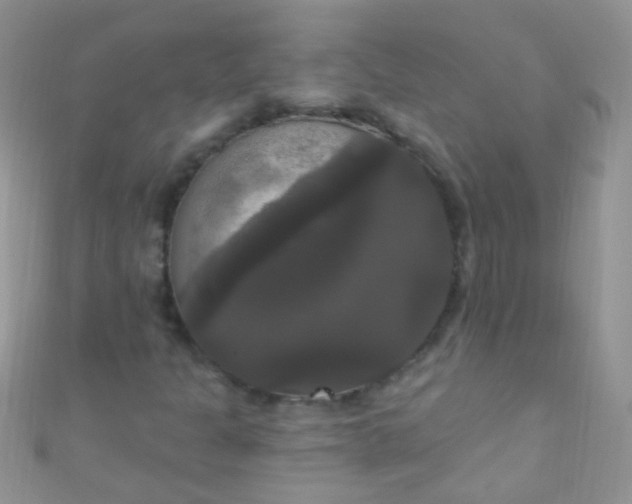 X0000111021301200907022150