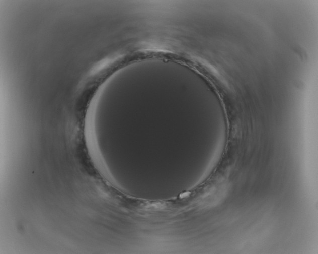 X0000111021303200907022150