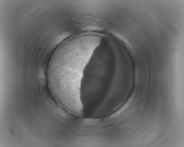 X0000111021305200907022150