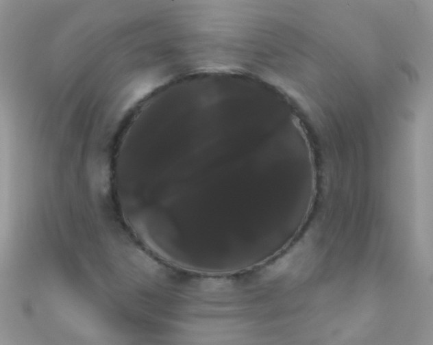 X0000111021306200907022150