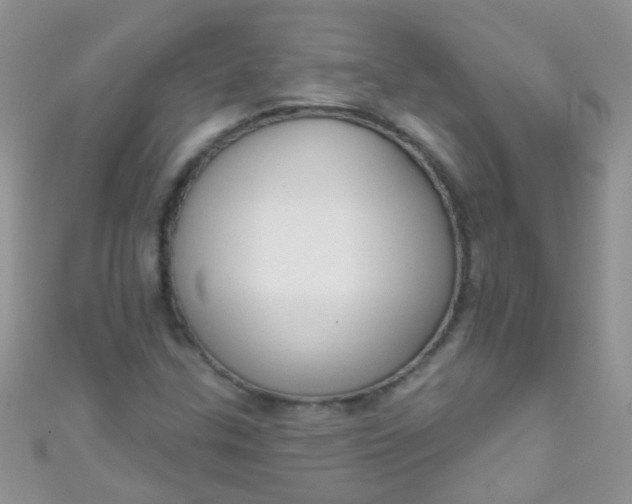 X0000111021307200907022150