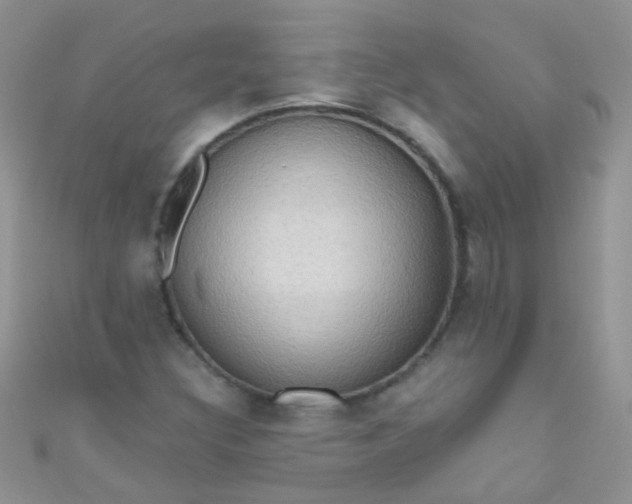 X0000111021308200907022150