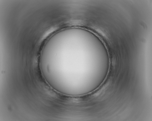 X0000111021309200907022150