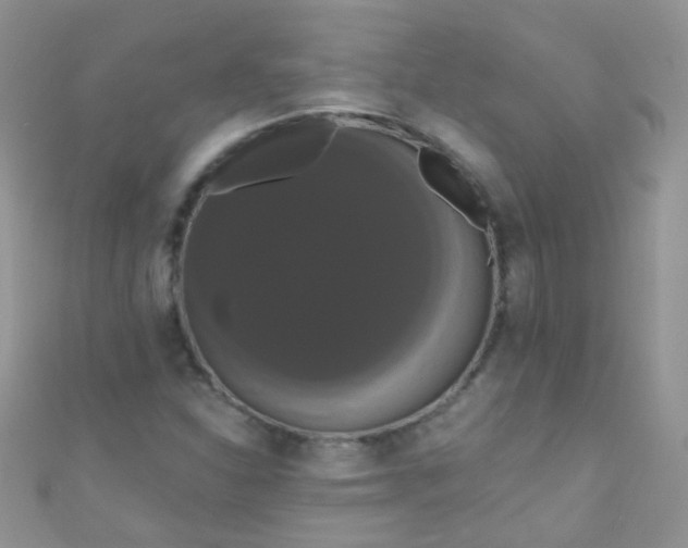 X0000111021310200907022150