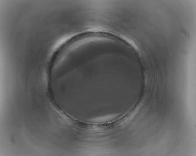 X0000111021311200907022150