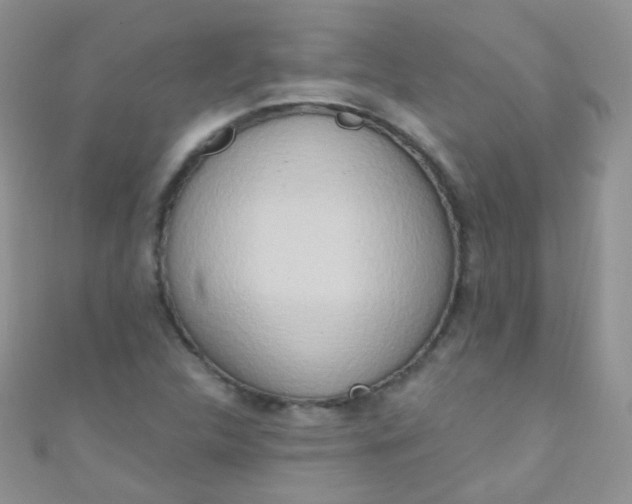 X0000111021312200907022150