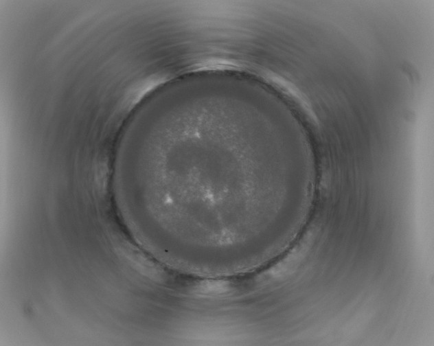 X0000111021313200907022150