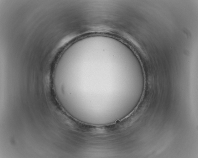 X0000111021315200907022150
