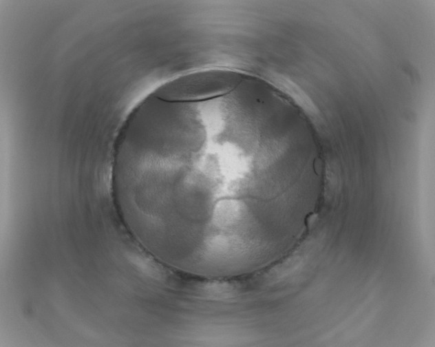 X0000111021316200907022150
