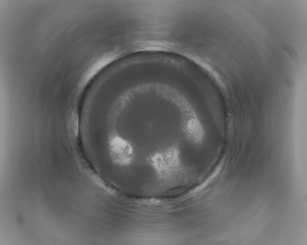X0000111021317200907022150