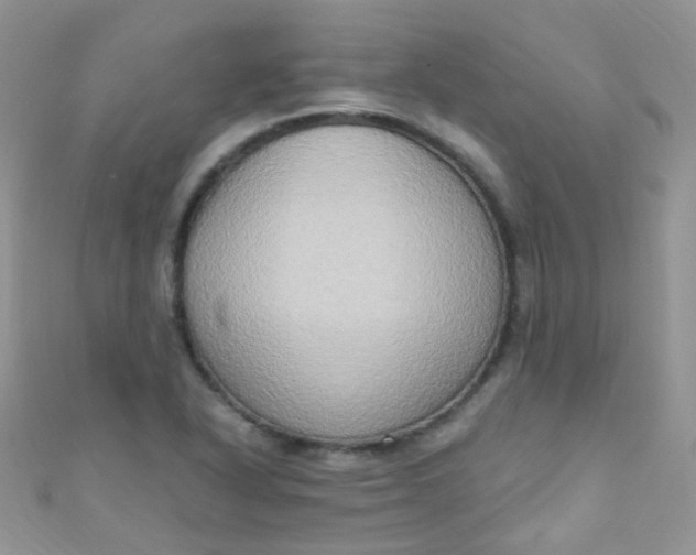 X0000111021318200907022150