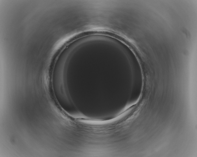 X0000111021319200907022150