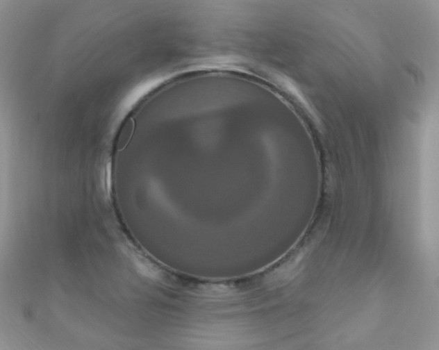 X0000111021320200907022150