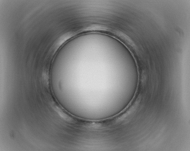 X0000111021321200907022150