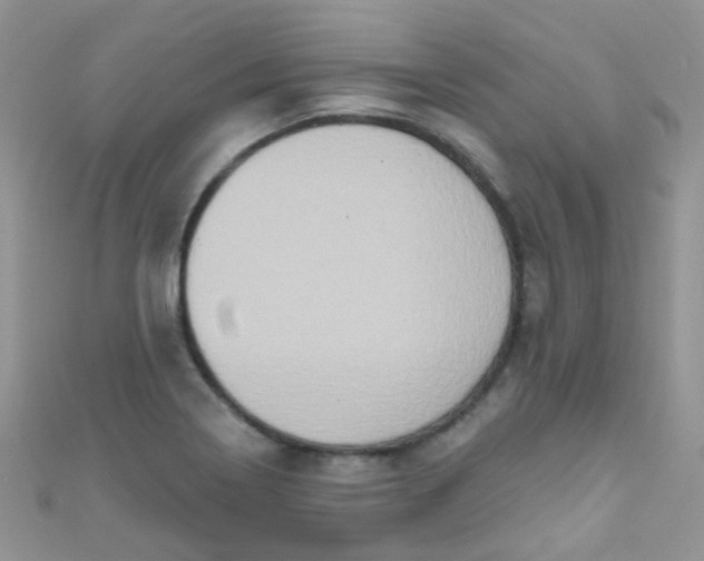 X0000111021322200907022150