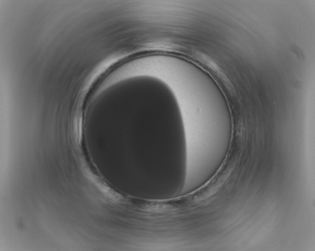 X0000111021323200907022150
