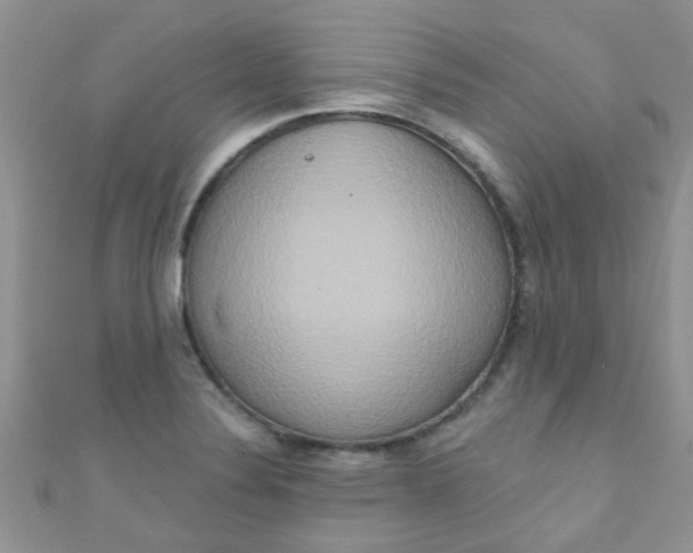 X0000111021324200907022150