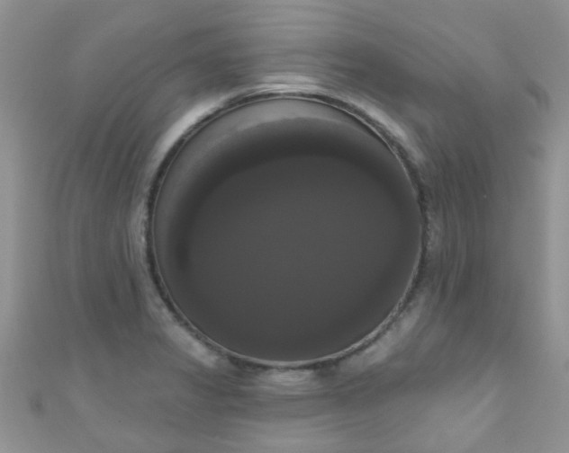 X0000111021325200907022150