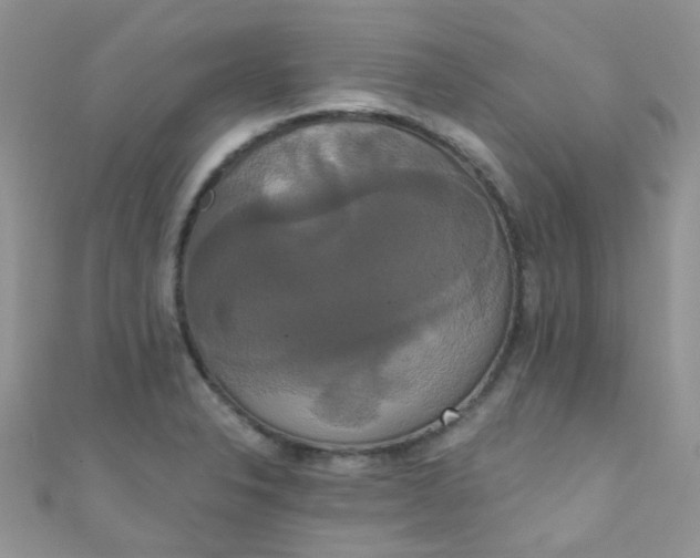 X0000111021326200907022150