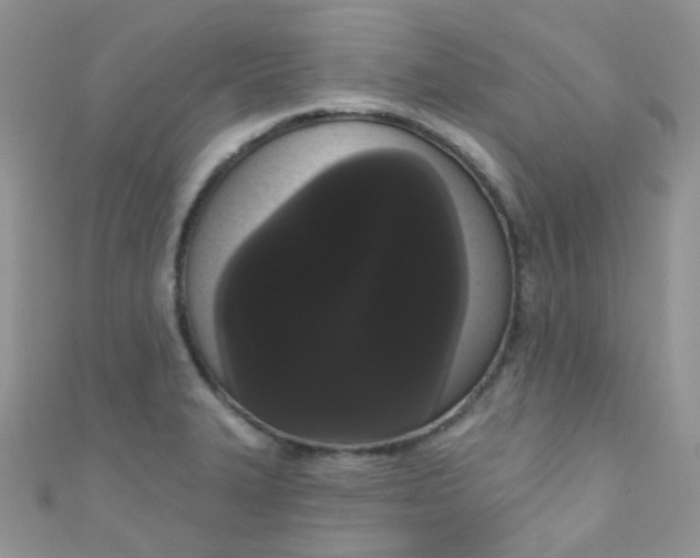 X0000111021327200907022150