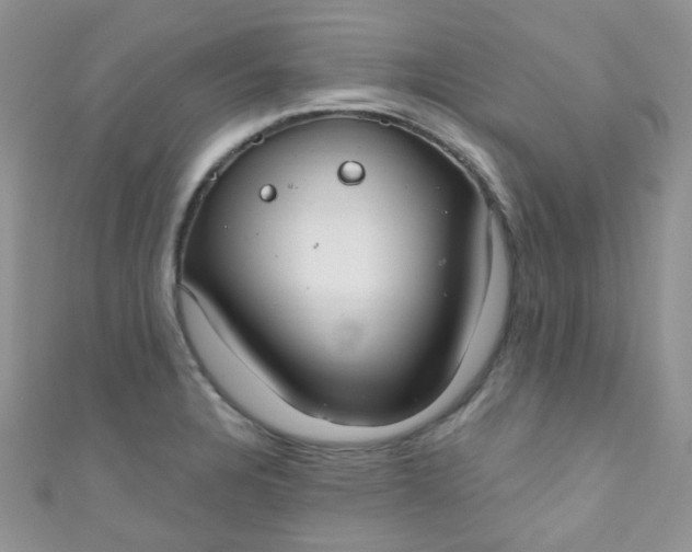 X0000111021328200907022150