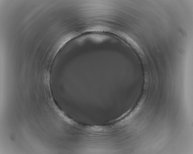 X0000111021329200907022150