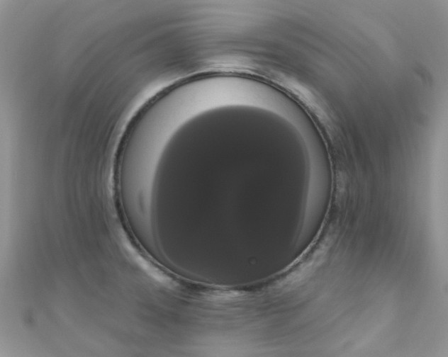 X0000111021331200907022150