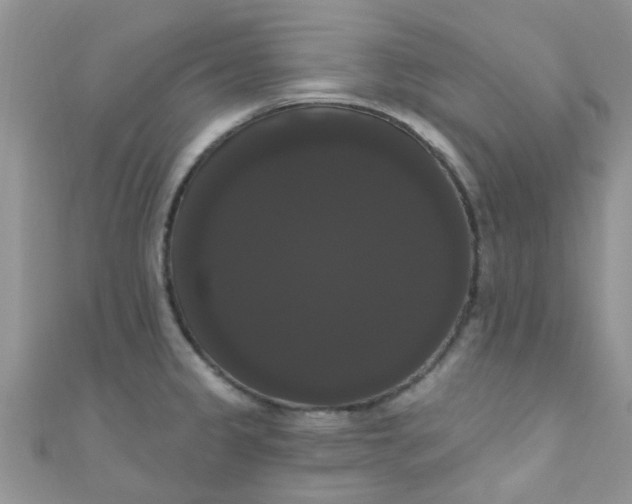 X0000111021333200907022150