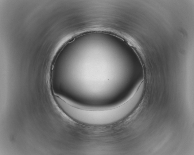 X0000111021334200907022150