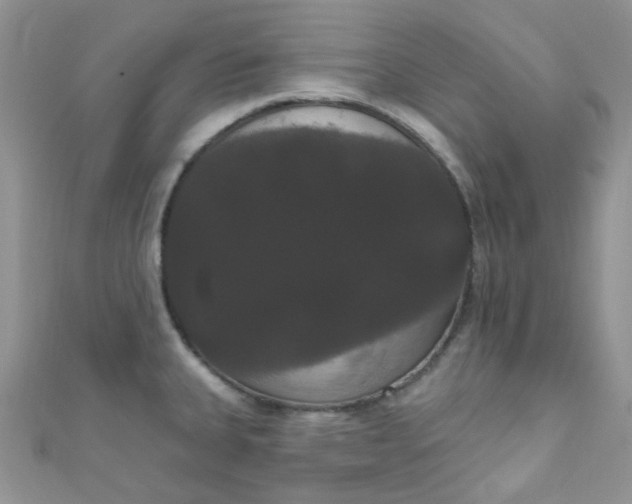 X0000111021335200907022150