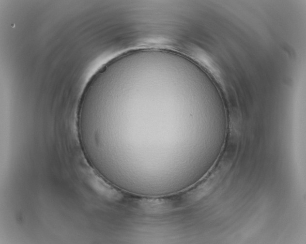 X0000111021336200907022150