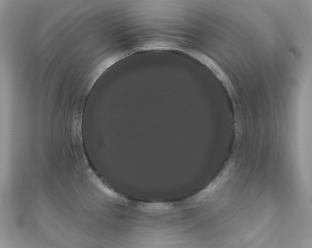 X0000111021337200907022150