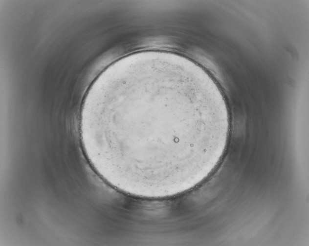X0000111021338200907022150