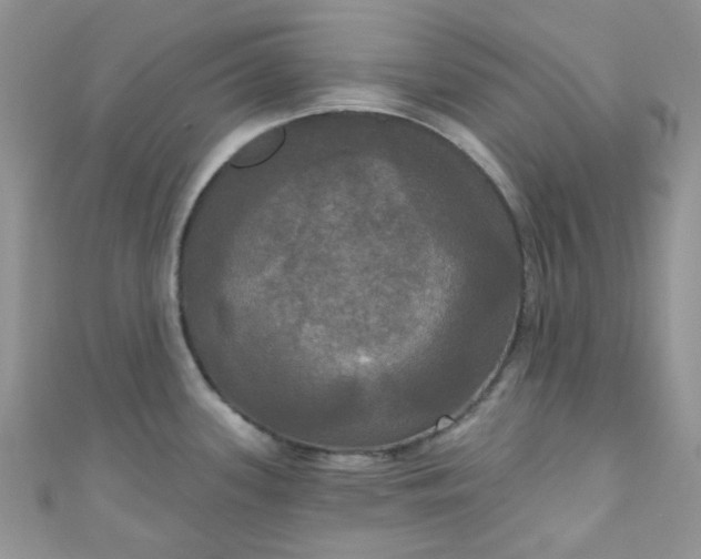 X0000111021339200907022150